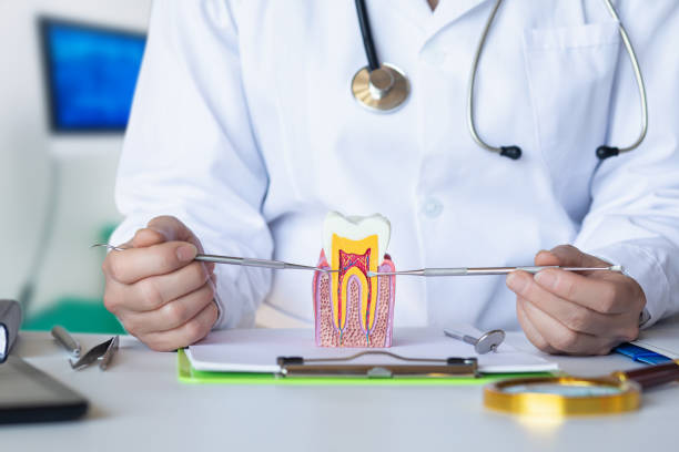 Best Emergency TMJ Treatment in Woodfield, SC